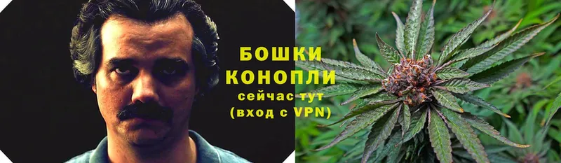 как найти закладки  Уссурийск  Бошки марихуана Ganja 